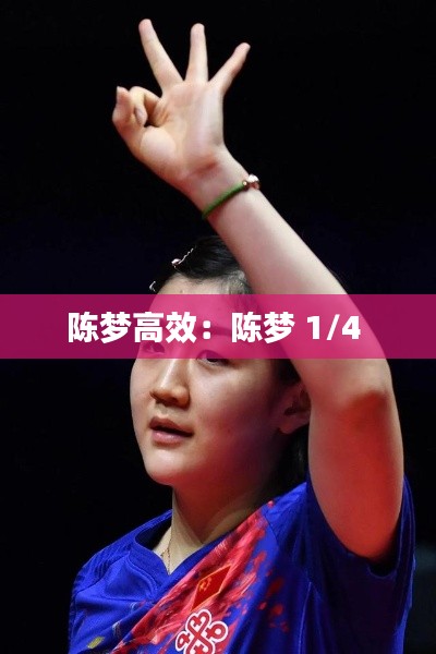 陈梦高效:陈梦 1/4
