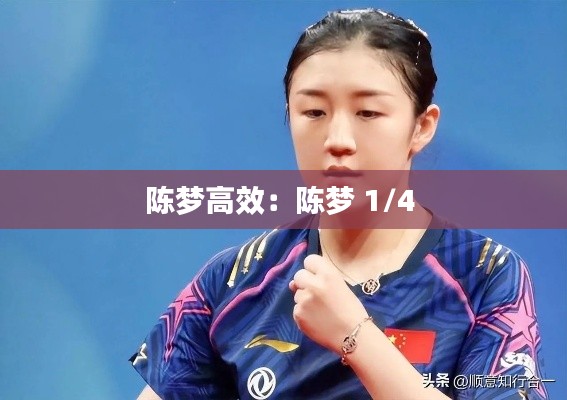 陈梦高效:陈梦 1/4