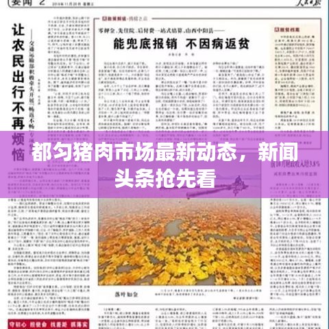 都匀猪肉市场最新动态,新闻头条抢先看