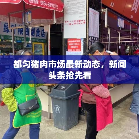 都匀猪肉市场最新动态,新闻头条抢先看