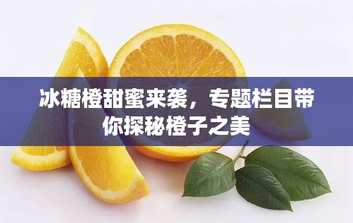 冰糖橙甜蜜来袭,专题栏目带你探秘橙子之美