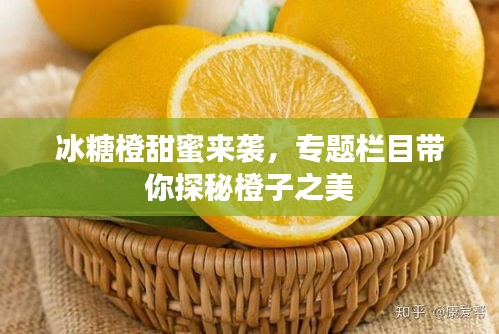 冰糖橙甜蜜来袭,专题栏目带你探秘橙子之美