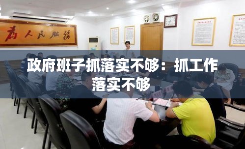 政府班子抓落实不够:抓工作落实不够