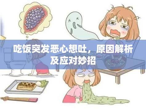 吃饭突发恶心想吐,原因解析及应对妙招