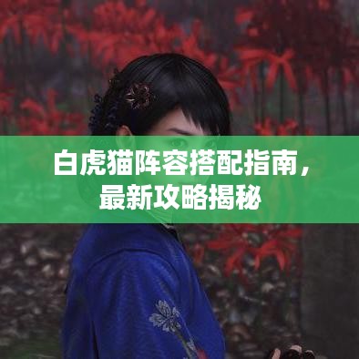 白虎猫阵容搭配指南,最新攻略揭秘