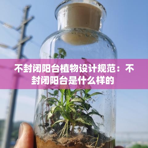 不封闭阳台植物设计规范:不封闭阳台是什么样的