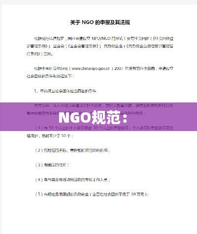 NGO规范: