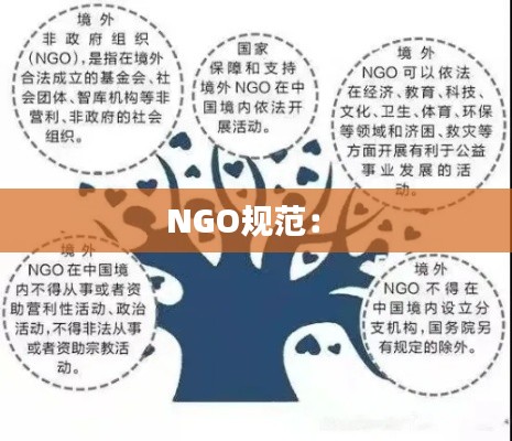 NGO规范: