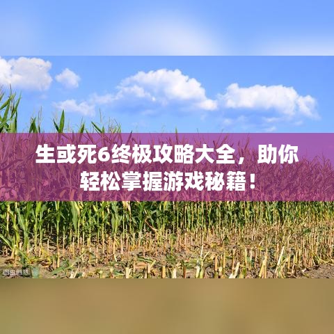 生或死6终极攻略大全,助你轻松掌握游戏秘籍!