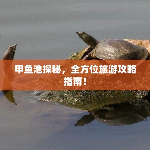 甲鱼池探秘,全方位旅游攻略指南!