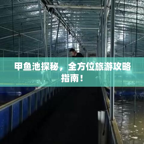 甲鱼池探秘,全方位旅游攻略指南!