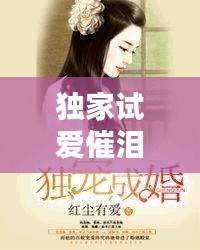 独家试爱催泪小说:独家试爱经典台词