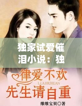 独家试爱催泪小说:独家试爱经典台词