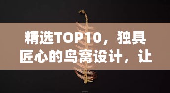 夫妻本是同林鸟 第3页