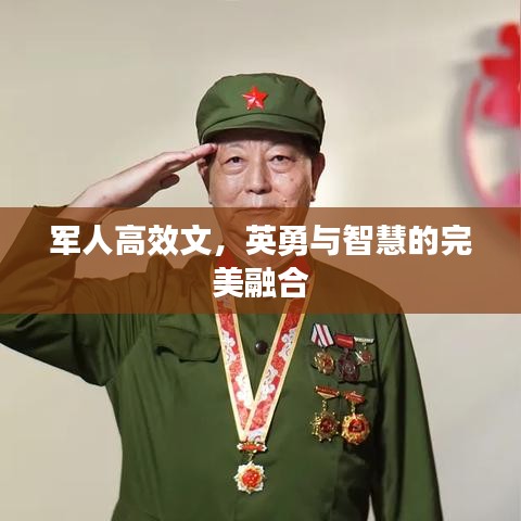 军人高效文,英勇与智慧的完美融合