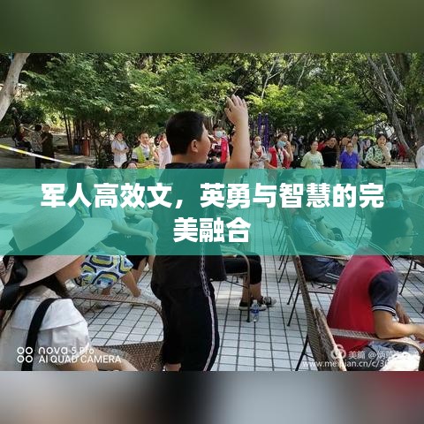 军人高效文,英勇与智慧的完美融合