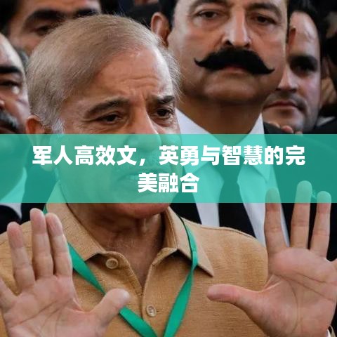 军人高效文,英勇与智慧的完美融合