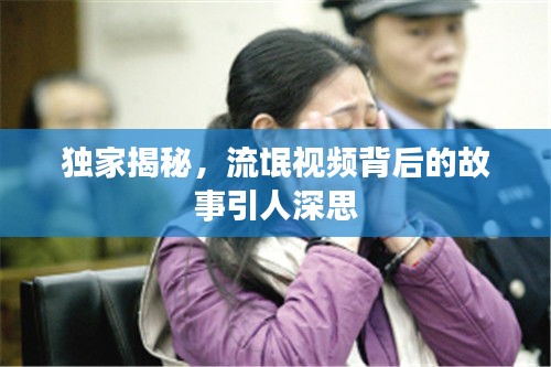 独家揭秘,流氓视频背后的故事引人深思