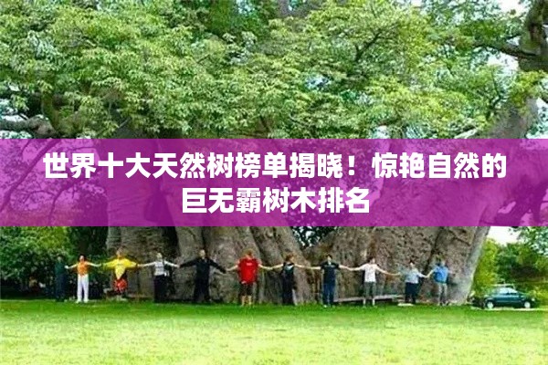 世界十大天然树榜单揭晓!惊艳自然的巨无霸树木排名