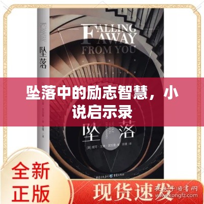 坠落中的励志智慧,小说启示录