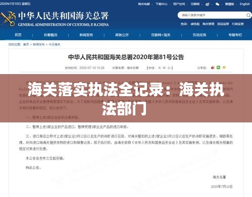 海关落实执法全记录:海关执法部门