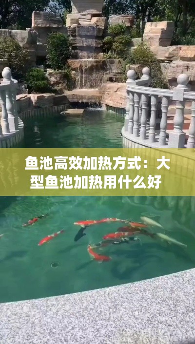 鱼池高效加热方式:大型鱼池加热用什么好