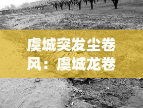 虞城突发尘卷风:虞城龙卷风事件谁承担责任