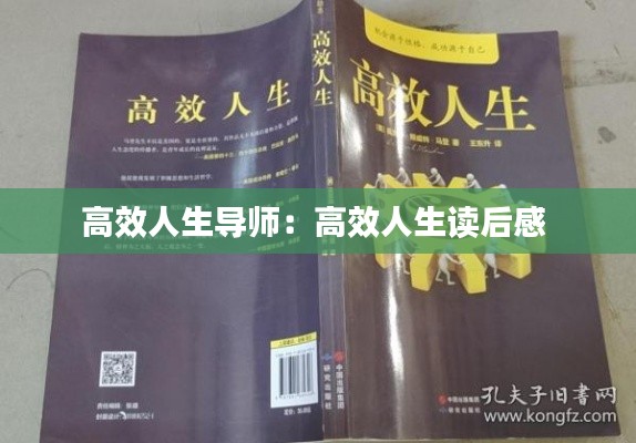 高效人生导师:高效人生读后感