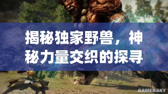 揭秘独家野兽,神秘力量交织的探寻之旅