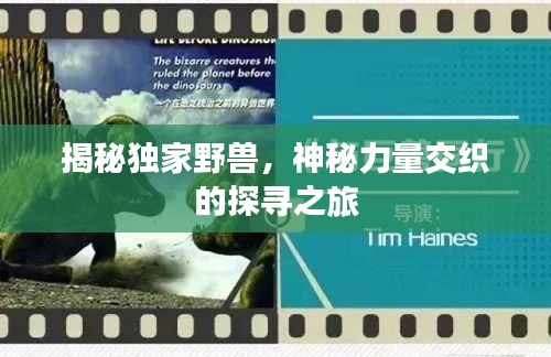 揭秘独家野兽,神秘力量交织的探寻之旅