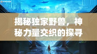 揭秘独家野兽,神秘力量交织的探寻之旅
