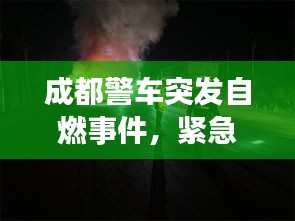 成都警车突发自燃事件,紧急救援现场揭秘!