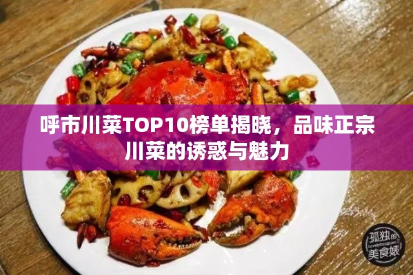 呼市川菜TOP10榜单揭晓,品味正宗川菜的诱惑与魅力