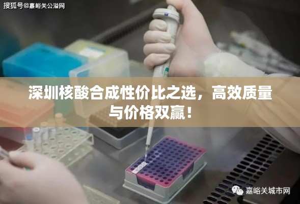 深圳核酸合成性价比之选,高效质量与价格双赢!