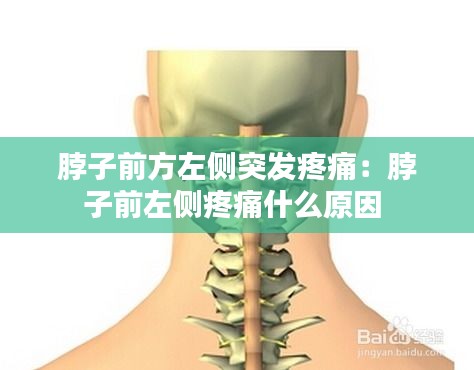 脖子前方左侧突发疼痛:脖子前左侧疼痛什么原因