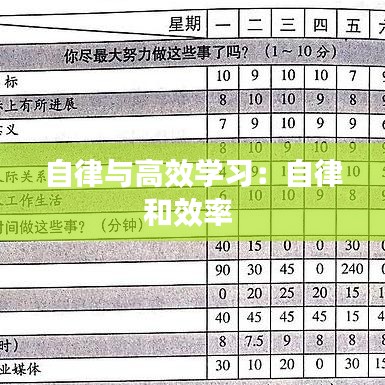 自律与高效学习:自律和效率