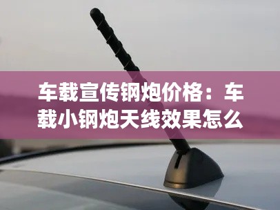 车载宣传钢炮价格:车载小钢炮天线效果怎么样