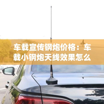 车载宣传钢炮价格:车载小钢炮天线效果怎么样