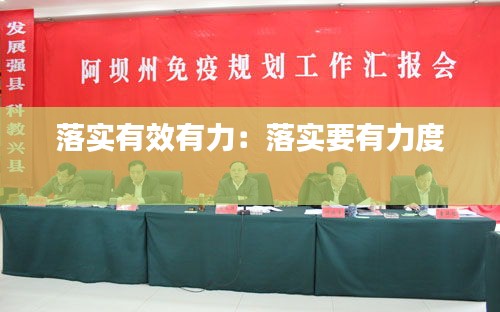 落实有效有力:落实要有力度