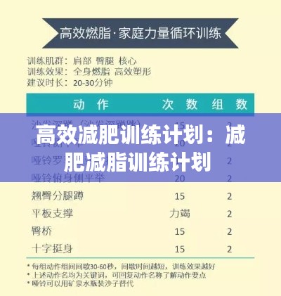 高效减肥训练计划:减肥减脂训练计划