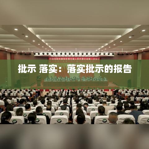 批示 落实:落实批示的报告