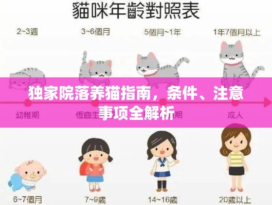 独家院落养猫指南,条件、注意事项全解析