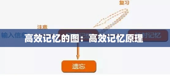 高效记忆的图:高效记忆原理