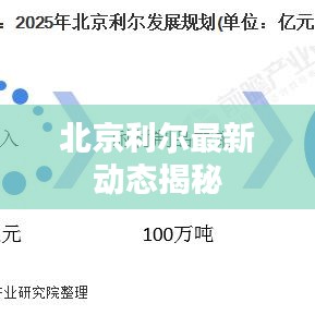 北京利尔最新动态揭秘