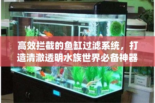 高效拦截的鱼缸过滤系统,打造清澈透明水族世界必备神器!