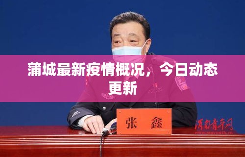 蒲城最新疫情概况,今日动态更新