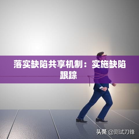 落实缺陷共享机制:实施缺陷跟踪
