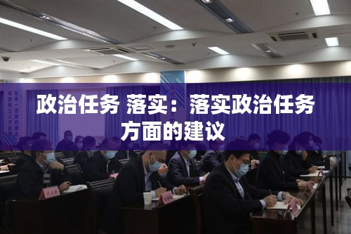 政治任务 落实:落实政治任务方面的建议