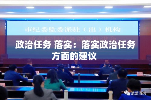 政治任务 落实:落实政治任务方面的建议