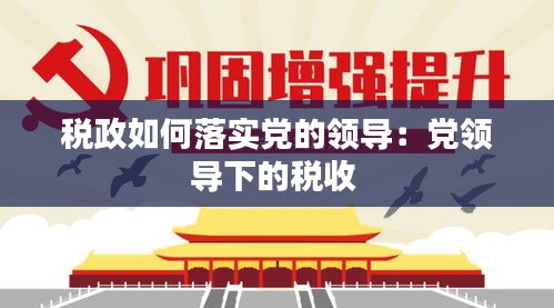 税政如何落实党的领导:党领导下的税收